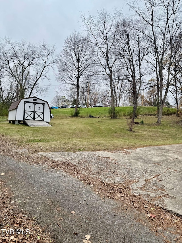 view of yard with a shed