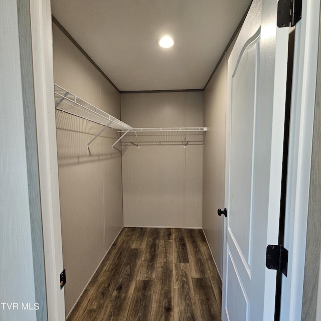 spacious closet with dark wood-type flooring