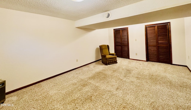 interior space featuring carpet flooring and a textured ceiling