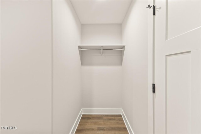 spacious closet with wood-type flooring