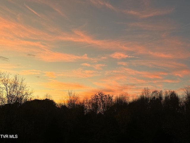 view of nature at dusk