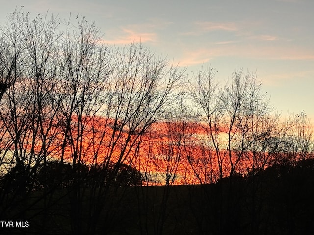 view of nature at dusk