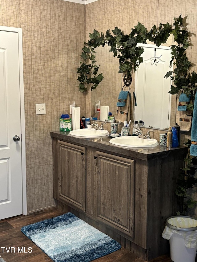 bathroom with vanity and wood-type flooring