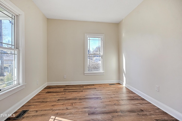 empty room with a wealth of natural light and wood-type flooring