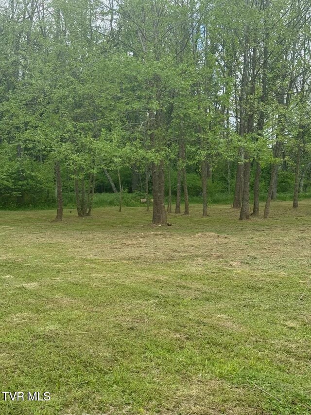 TBD Fairview St, Mountain City, TN 37683 - photo 27