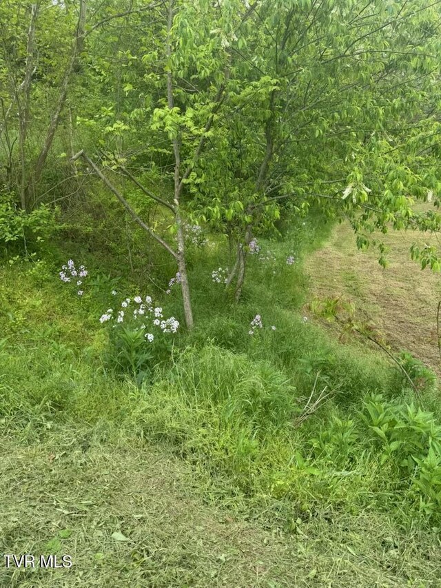 TBD Fairview St, Mountain City, TN 37683 - photo 24