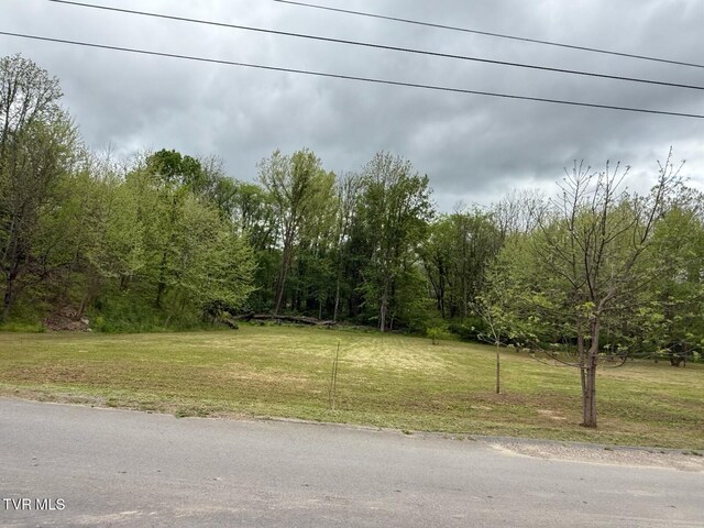 TBD Fairview St, Mountain City, TN 37683 - photo 48
