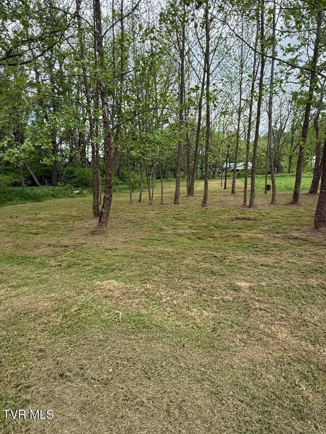TBD Fairview St, Mountain City, TN 37683 - photo 29