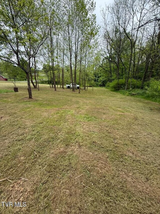 TBD Fairview St, Mountain City, TN 37683 - photo 34