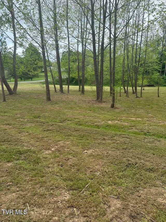 TBD Fairview St, Mountain City, TN 37683 - photo 42