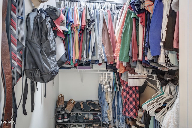 view of spacious closet