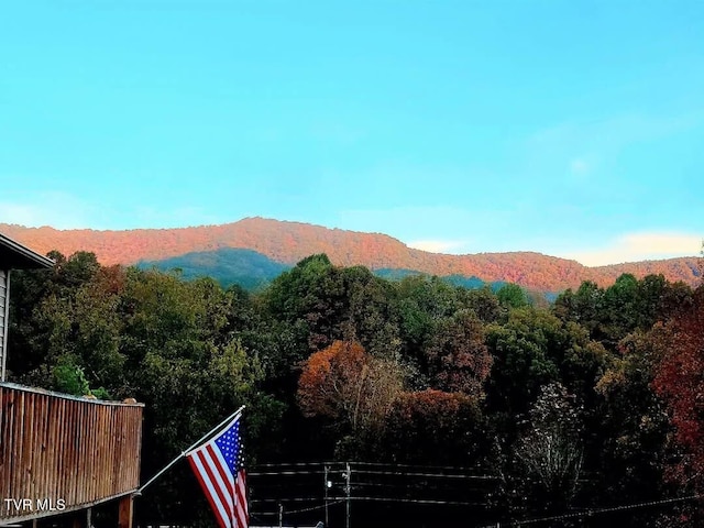 property view of mountains