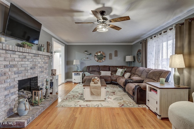 living room featuring crown molding, a fireplace, ceiling fan, and light wood-type flooring