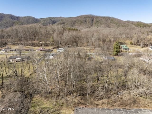 Listing photo 3 for TBD Unicoi Dr, Unicoi TN 37692