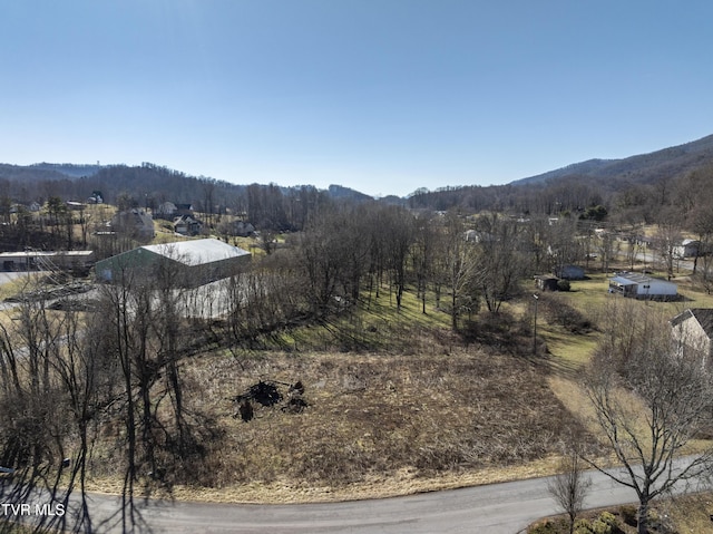 TBD Golf Course Rd, Unicoi TN, 37692 land for sale