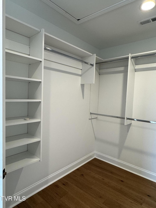 spacious closet with dark hardwood / wood-style floors