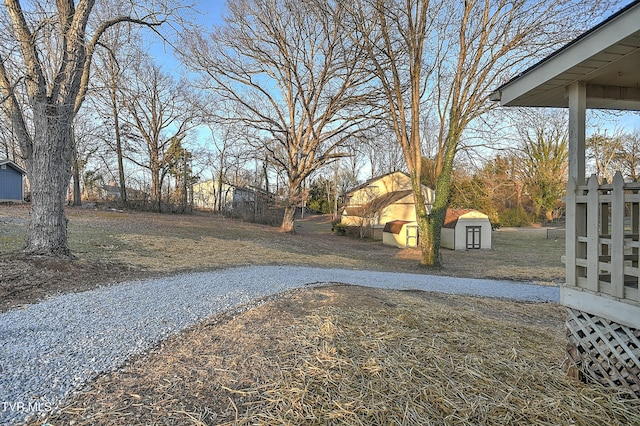 view of yard featuring a storage shed