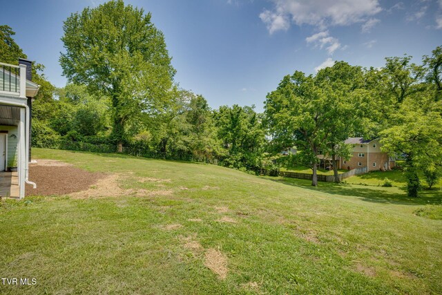 1314 Woodland Ave, Johnson City, TN 37601 - photo 51