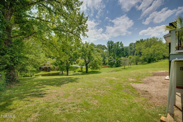 1314 Woodland Ave, Johnson City, TN 37601 - photo 50
