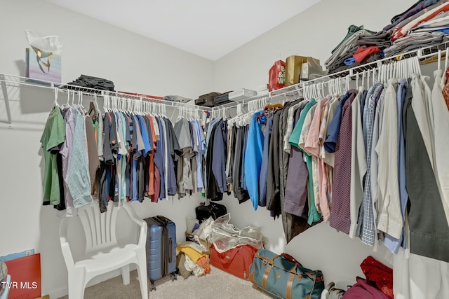 walk in closet featuring carpet