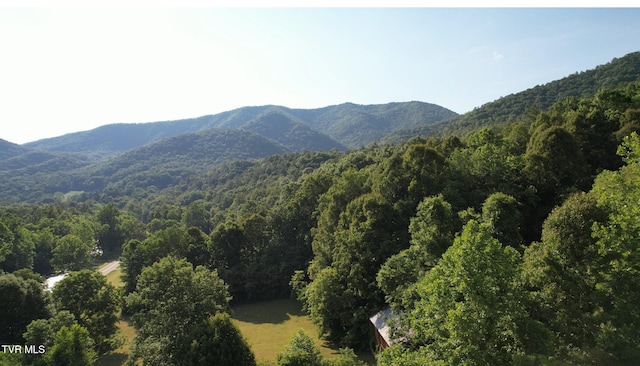 9222 Roan Creek Rd, Butler TN, 37640 land for sale