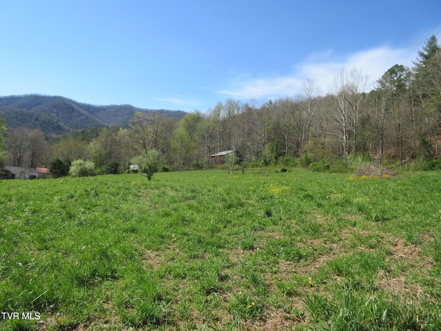 Listing photo 2 for 9222 Roan Creek Rd, Butler TN 37640