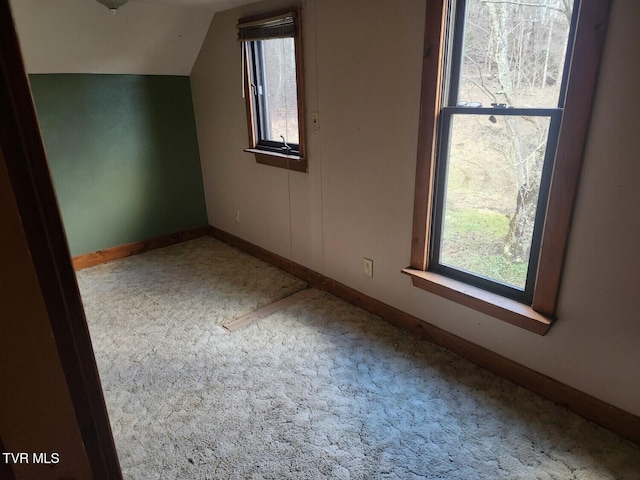 additional living space with lofted ceiling and carpet