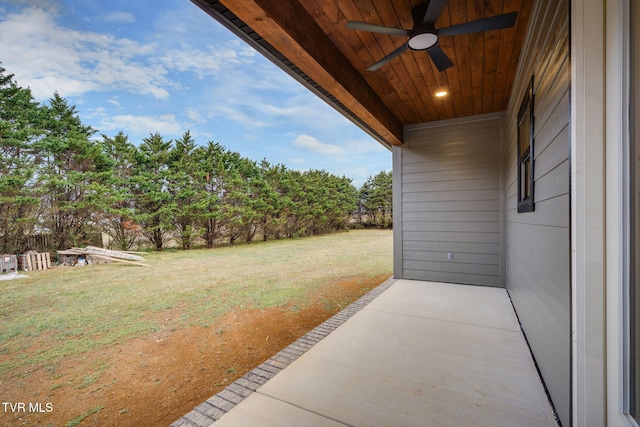 view of yard with a patio and ceiling fan