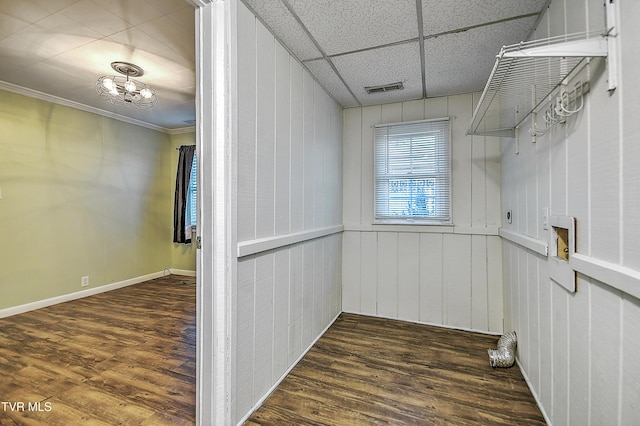 spacious closet featuring dark wood-type flooring and a drop ceiling