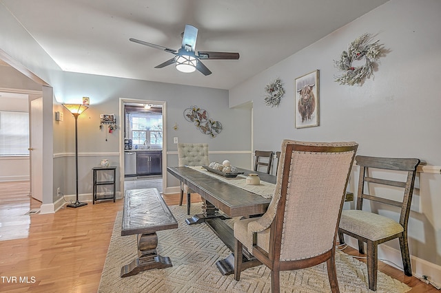 dining room featuring sink, ceiling fan, and light wood-type flooring