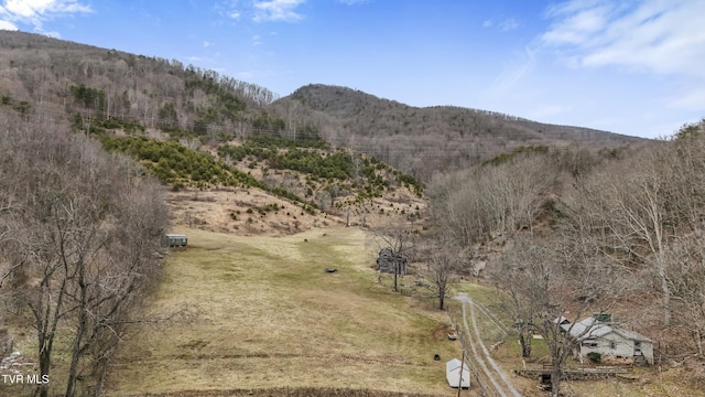 view of mountain feature with a rural view