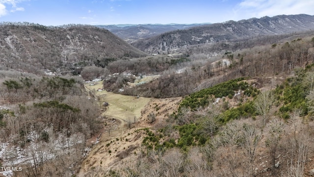 property view of mountains