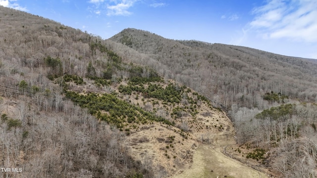 view of mountain feature