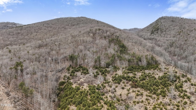 property view of mountains