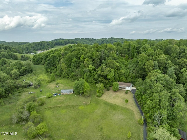 aerial view with a forest view