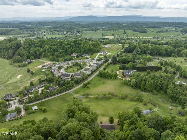 birds eye view of property featuring a mountain view