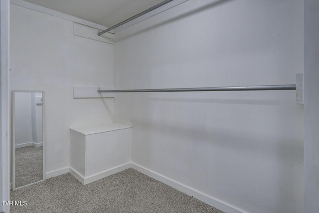 walk in closet with carpet
