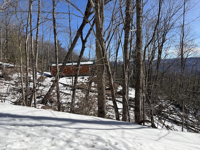 view of yard layered in snow