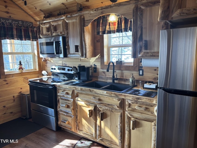 kitchen with vaulted ceiling, appliances with stainless steel finishes, sink, and plenty of natural light