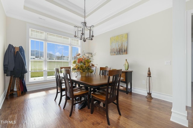 132 Hamilton Rd, Elizabethton, TN 37643 - dining room with dark hardwood / wood-style flooring, ornamental molding, and a raised ceiling