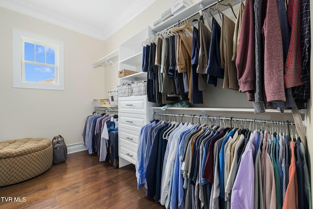 132 Hamilton Rd, Elizabethton, TN 37643 - spacious closet featuring dark hardwood / wood-style flooring