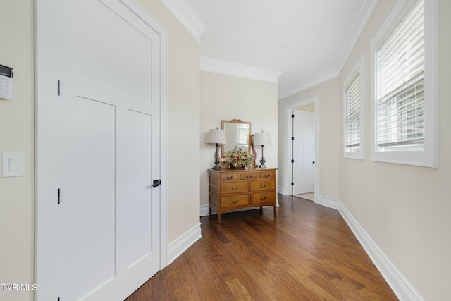 132 Hamilton Rd, Elizabethton, TN 37643 - hallway featuring dark hardwood / wood-style flooring and ornamental molding