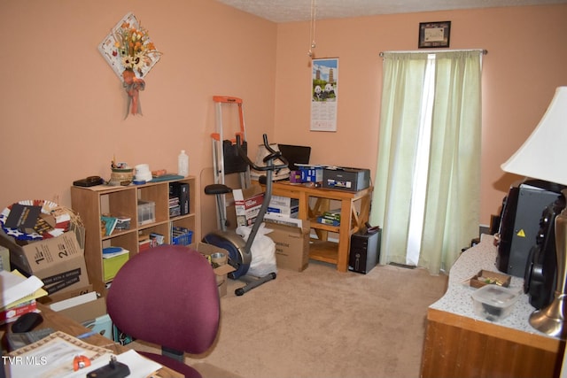 view of carpeted home office