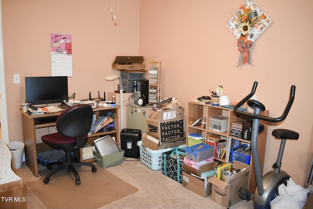 view of carpeted home office