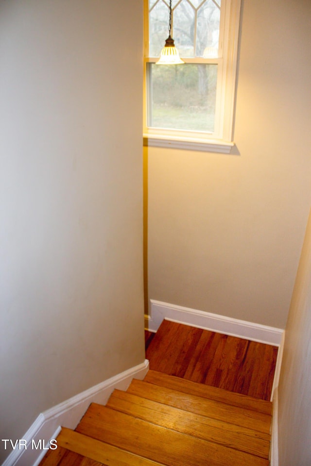 stairway with hardwood / wood-style floors