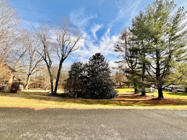 18 Hemlock Ln, Greeneville TN, 37745 land for sale