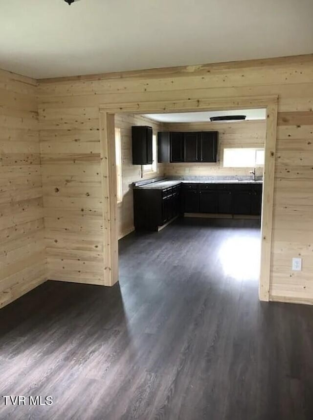 kitchen featuring dark wood-type flooring and wooden walls