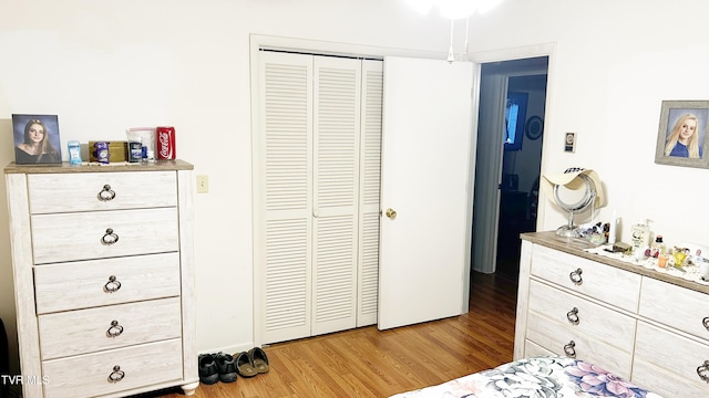 bedroom with wood-type flooring and a closet