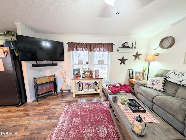 living room featuring dark hardwood / wood-style flooring, crown molding, and a textured ceiling