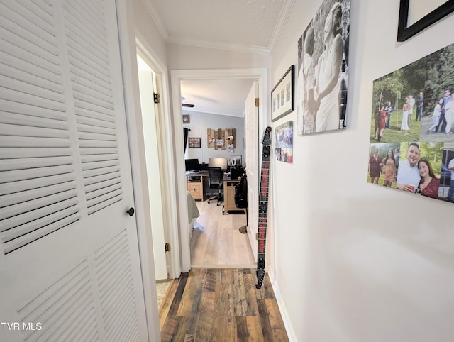 hall with hardwood / wood-style flooring and ornamental molding